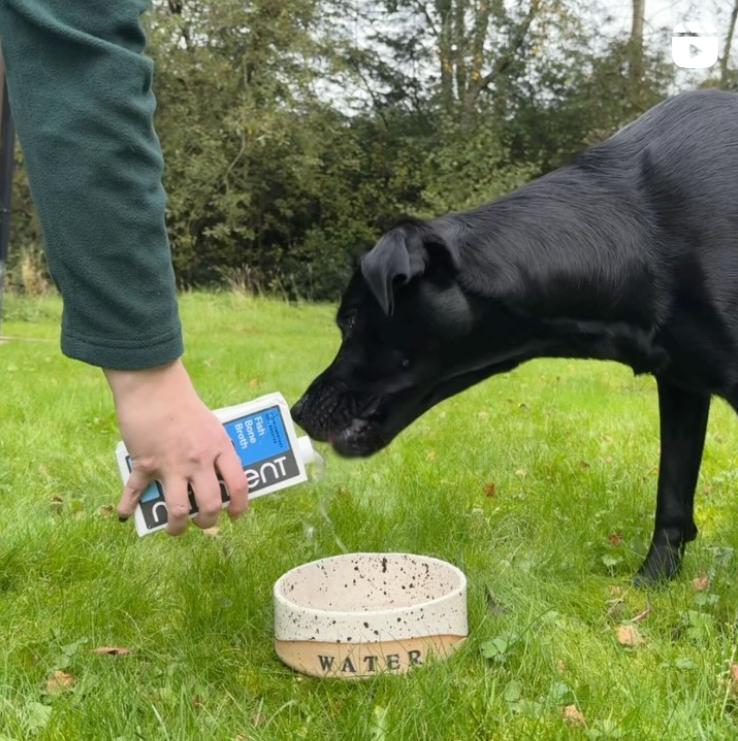 A reel that introduces the new product ‘Fish Bone Broth’. The video includes a woman and her dog testing the product in the green.