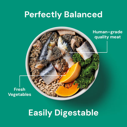 Bowl of "Kidney Support 500g" dog food with fish, veggies, and seeds for a species-appropriate and easily digestible diet.