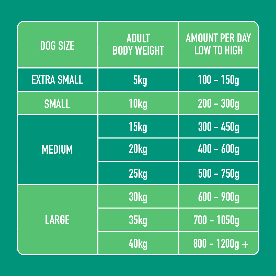 Chart of Kidney Support 500g dog food by size and ideal weight: extra small to large, weights 5kg to 40kg+.