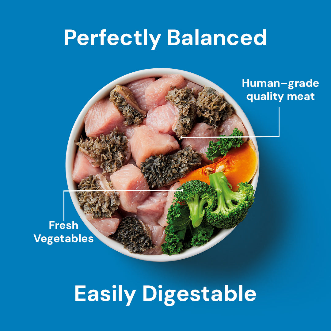 A bowl of Light Support 500g grain-free dog food with meat chunks and fresh veggies on a blue background.