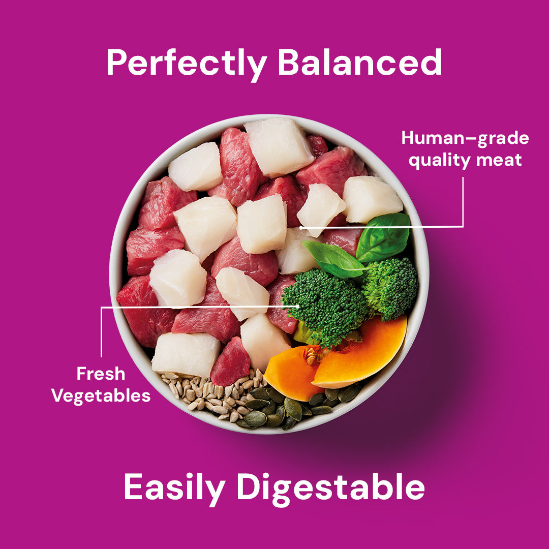 Liver Support 500g: Diced meat, veggies, seeds & fish for a "Perfectly Balanced" and "Easily Digestible" meal.