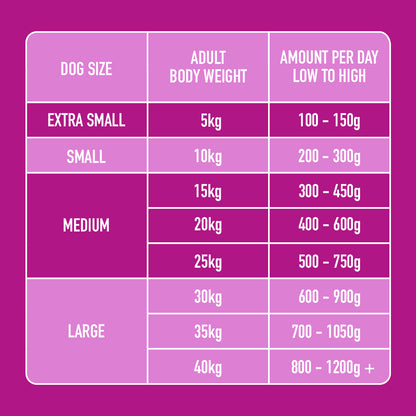 Chart showing dog size, weight (5kg-40kg), and daily food (100g-1200g+) for a diet with Liver Support 500g.