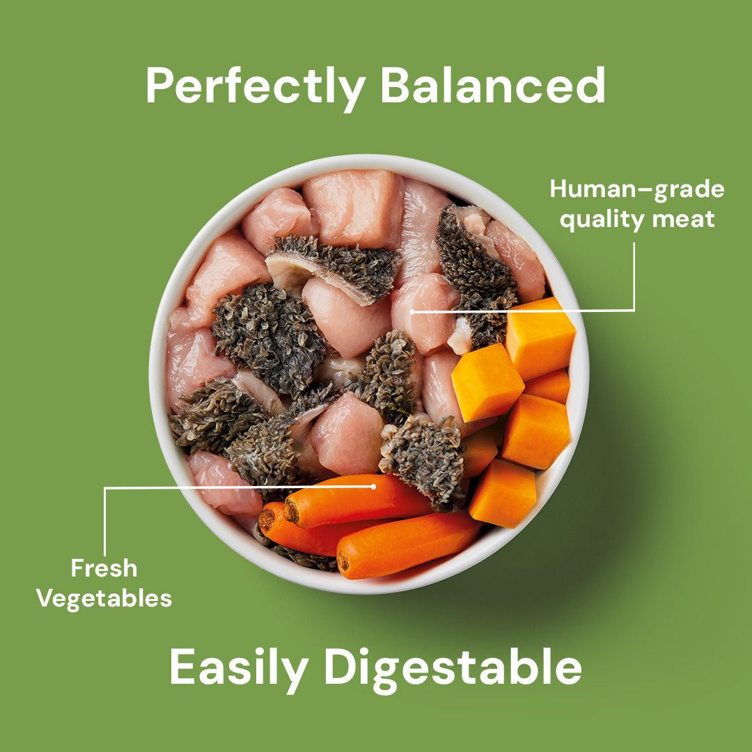 Low Purine & Phosphorus Support 1.4kg raw dog food with chicken and veggies on a green background, for quality digestion.