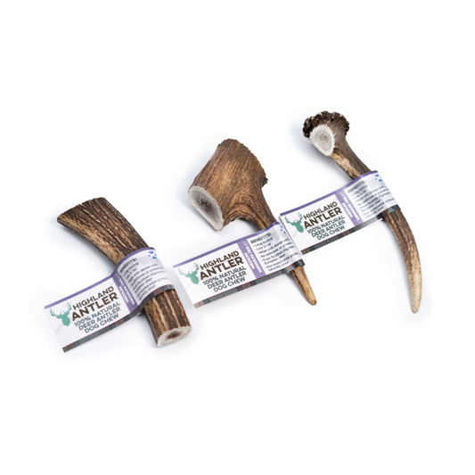 Three "Antler Bar (Medium) 81-150g" dog chews laid out on a white background.