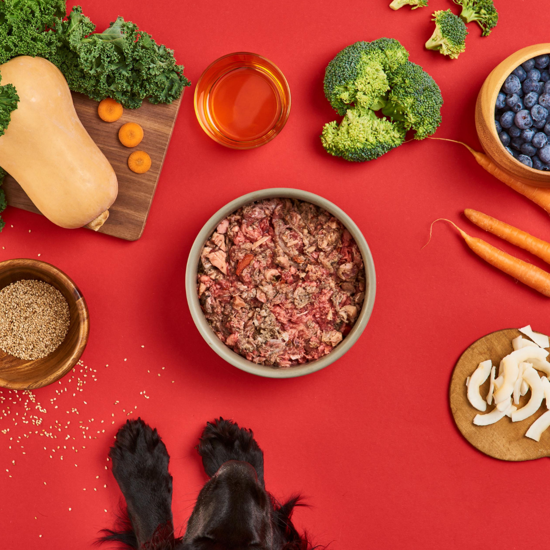 Dog Food with vegetables around bowl and hemp seeds