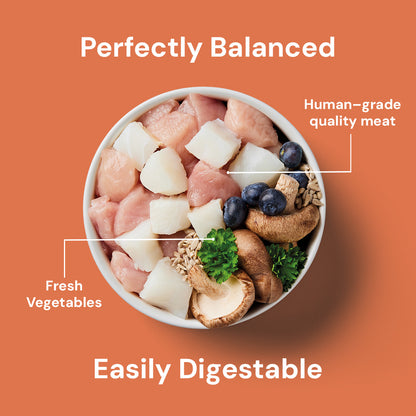 Recovery Support 500g: High-protein raw pet food with meat, veggies & blueberries; "Perfectly Balanced" & "Easily Digestible".