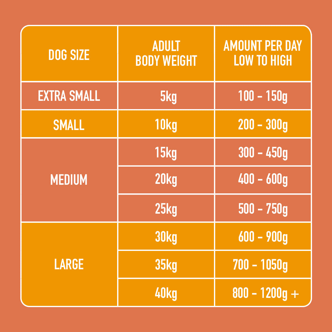 Recovery Support 500g feeding chart: weight and daily food in kg/g, high protein & grain-free for all sizes.