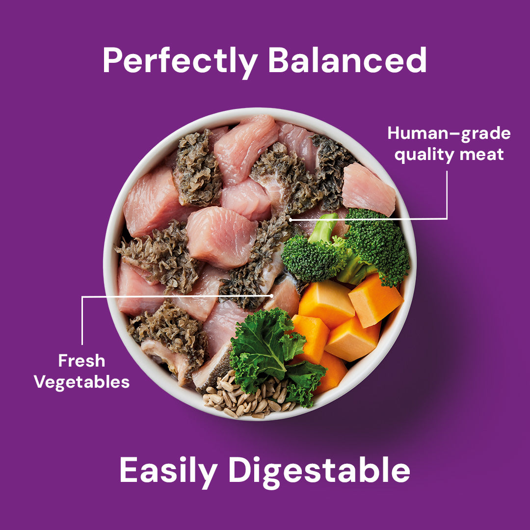 Sensitive Support 500g: Diced meat, broccoli, carrots, kale, seeds; balanced & allergen-free.