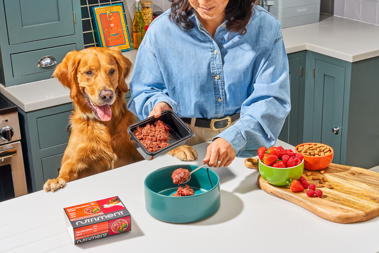 A woman prepares her dogs food while the dog is waiting happily.