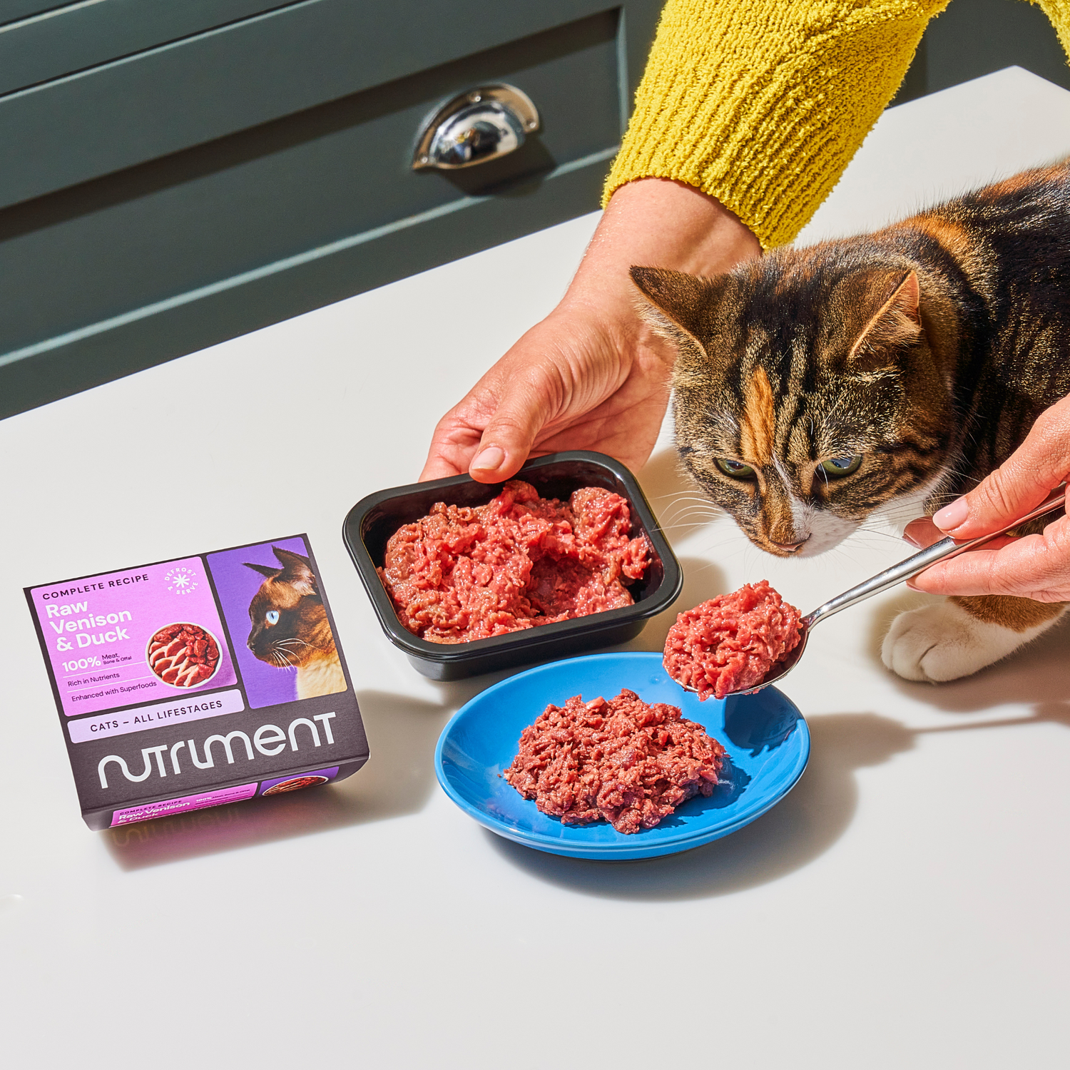 A tortoiseshell cat sitting on a kitchen counter as their owner spoons raw cat food onto a plate for them.