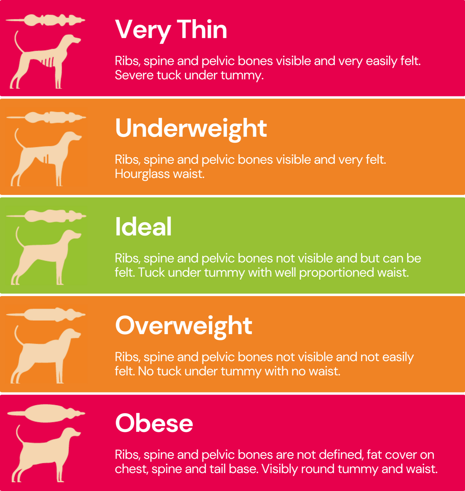 Body scoring guide for dogs