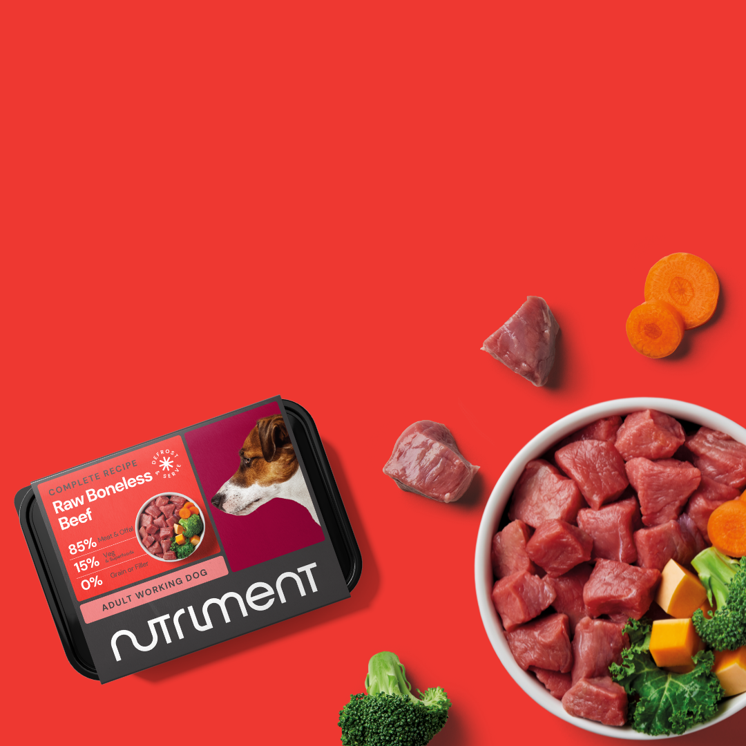 Dog food package with a bowl of raw beef, broccoli, carrot slices, and cheese cubes on a red background.