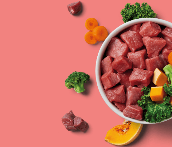 A bowl of raw meat cubes with broccoli, carrots, and squash on a pink background.