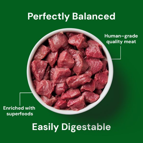 Cat Raw Lamb 500g, human-grade, enriched with superfoods, on a green background.