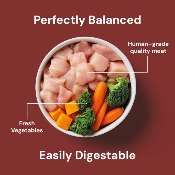 Bowl of Raw Chicken 500g with carrots, broccoli, kale: "Perfectly Balanced" and "Easily Digestible" superfoods.