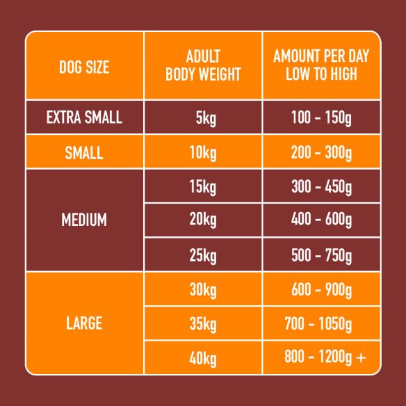 Dog feeding guide: sizes XS to L, features Raw Chicken 1kg & daily amounts in grams.