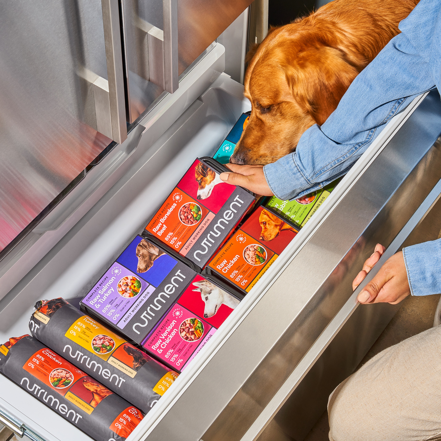 DDD - defrost, a golden retriever dog helps their owner take food out of the freezer.