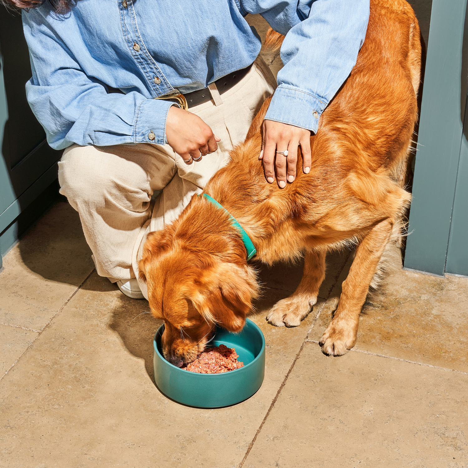 DDD Delight - a golden retriever eating raw food on the floor of a kitchen with their owner petting them.