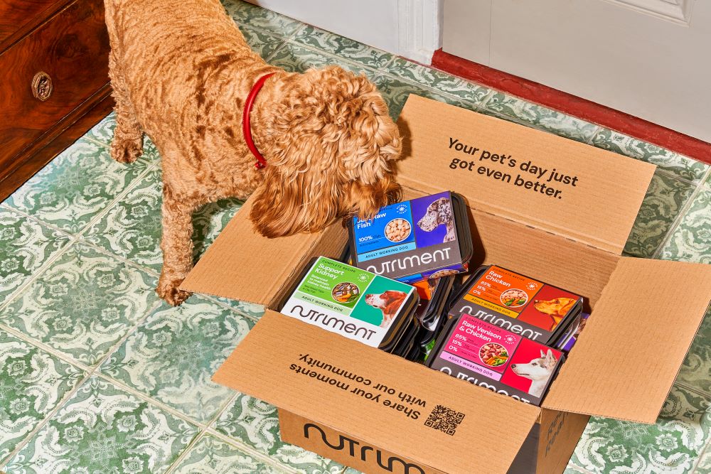 dog exploring delivery of Nutriment raw food