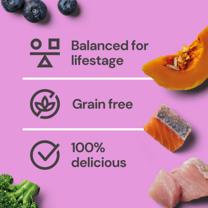 Grain-free and balanced for seniors, the Senior Gently Steamed Turkey & Salmon 395g is set on pink amid food images.