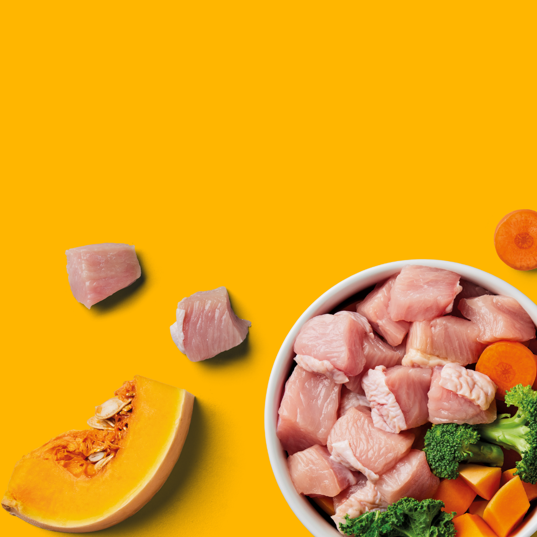 Bowl of raw meat cubes, broccoli, and carrots on yellow background with pumpkin slice and more meat pieces nearby.