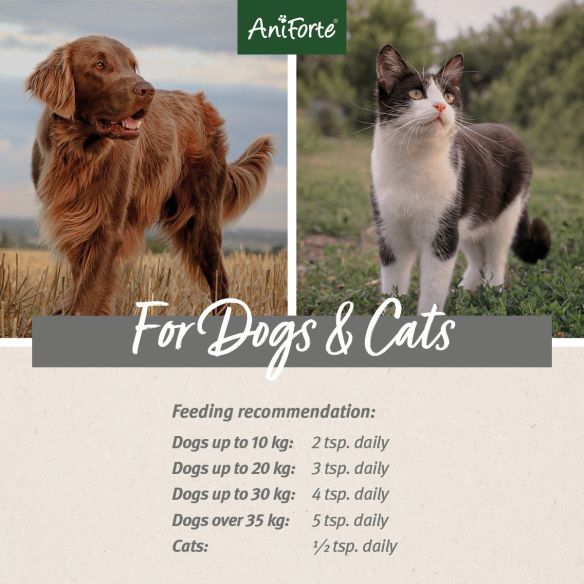 Aniforte Mineral Moor Mud 300g: pet feeding tips, digestive aid for cats & dogs outdoors, guides for weight.