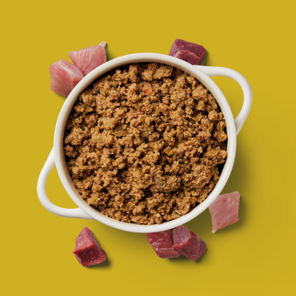 Cat Gently Steamed Turkey & Lamb 395g bowl on yellow, showcasing raw nutrition with cooked and raw meat blend.