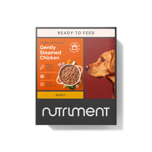 Gently Steamed Chicken 395g dog food pack, featuring top pet nutrition with a dog profile on the right.