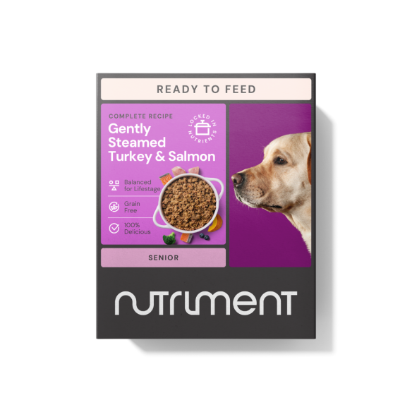 Senior Gently Steamed Turkey & Salmon 395g pet food packs on a purple background for easy storage.