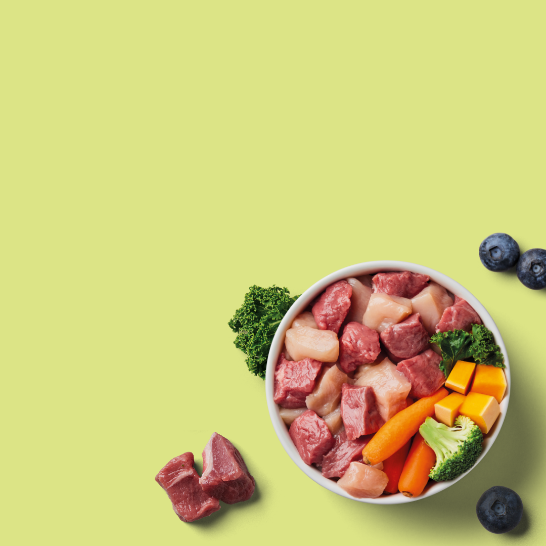 A bowl of raw meat chunks, carrots, broccoli, and kale, with extra meat and blueberries on the side, against a yellow backdrop.