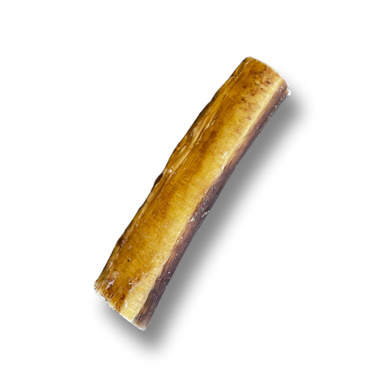 Natural high-quality dog protein bully stick, Bull Pizzle 12cm (Single), made from bull pizzles, isolated background.