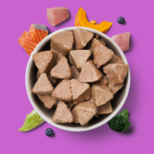 Bowl of Raw Turkey & Salmon Nuggets for Senior Dogs on a purple background.