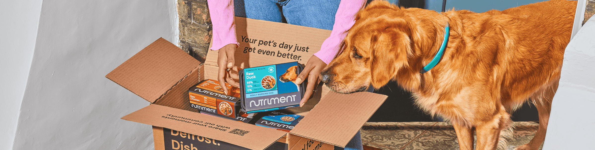 A dog curiously looks at a box of pet food being opened by a person in a room.