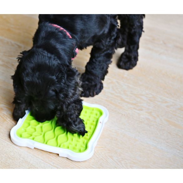 Black dog enjoying the Lick n Snack Licking Plate on the wooden floor during mealtimes.