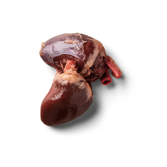 Turkey Hearts 500g offer essential nutrients as biologically appropriate treats on a white background.