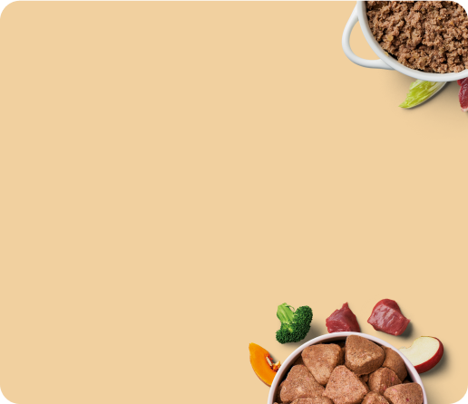 A bowl of kibble with sliced vegetables and raw meat pieces on a beige background. The bowl is at the bottom, surrounded by broccoli, a slice of carrot, and a piece of apple. Another bowl with raw meat is partially visible in the top right corner.