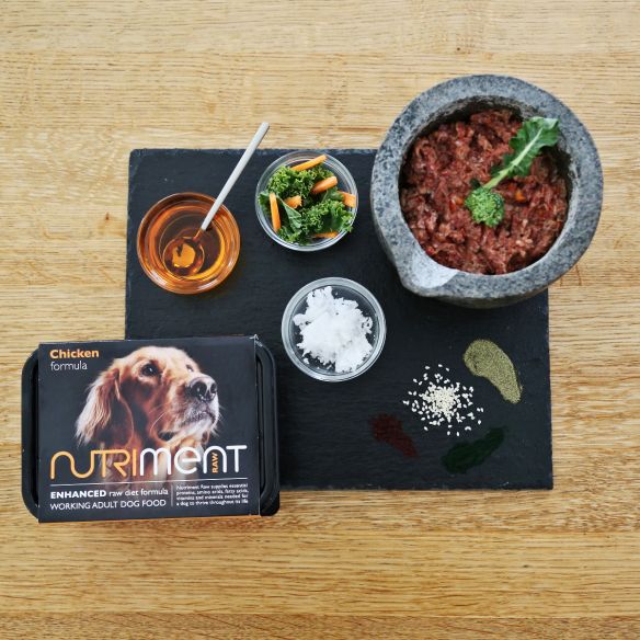 how long does raw dog food take to digest