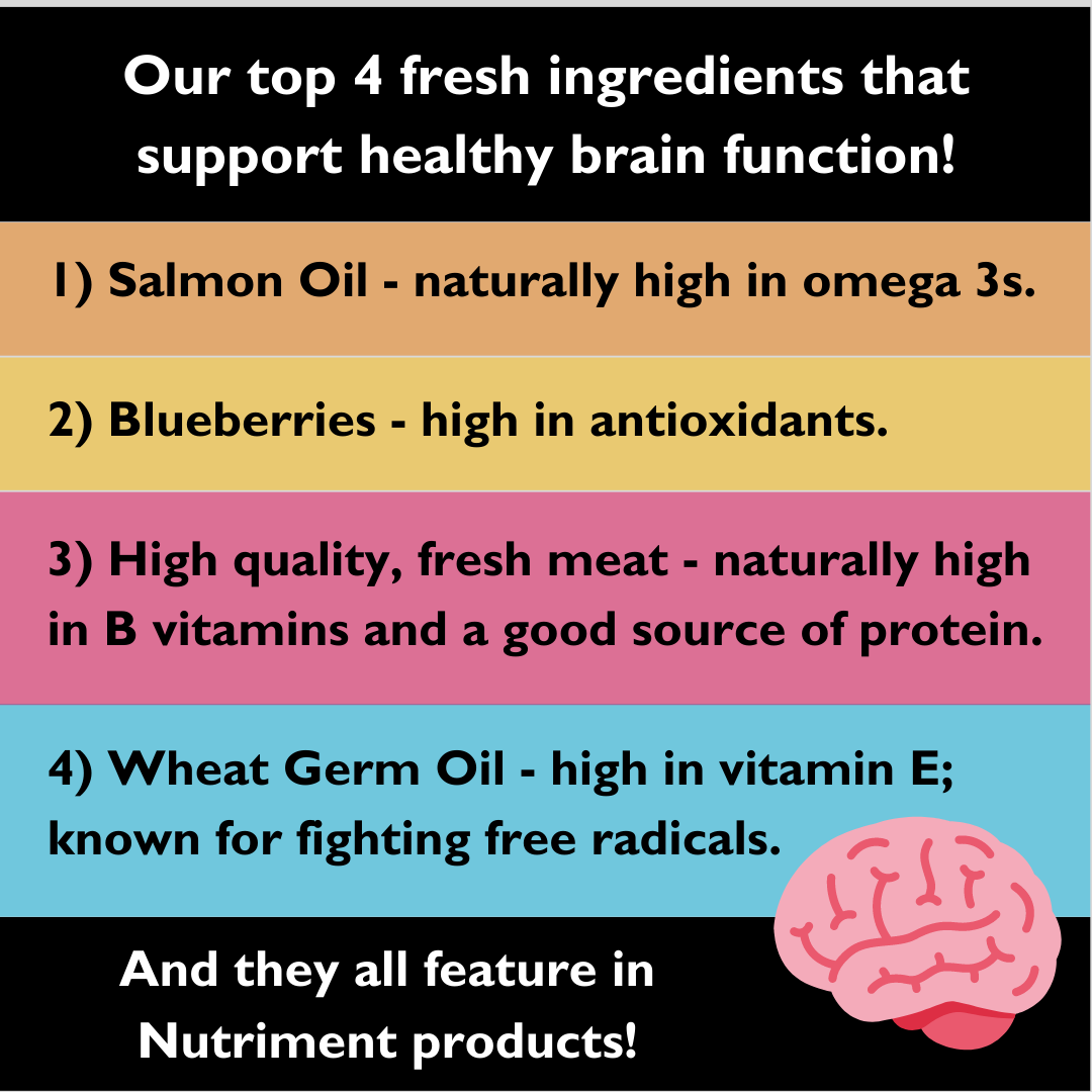 Brain_ingredients_1_