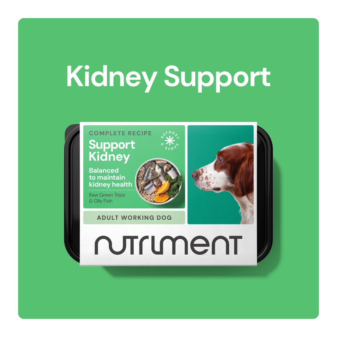 Kidney_Support