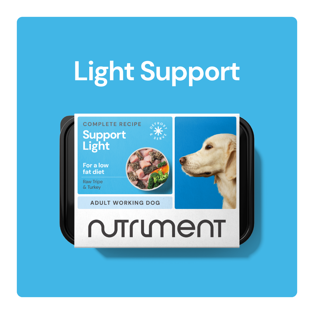 Light_Support