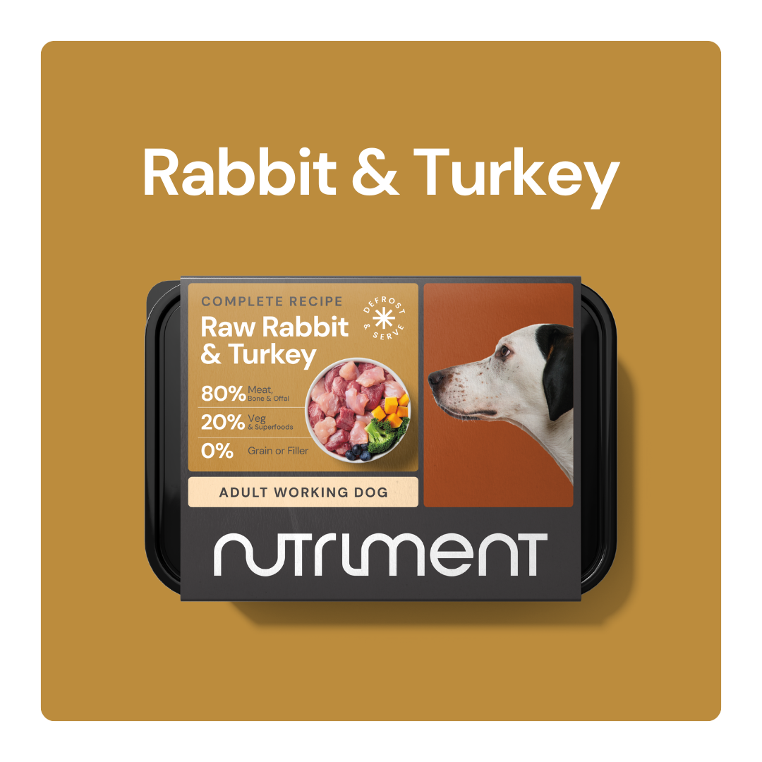 Rabbit_Turkey