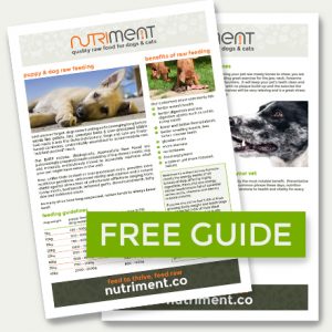 Raw Dog Food Calculator How Much To Feed Your Dogs Puppies Nutriment Raw