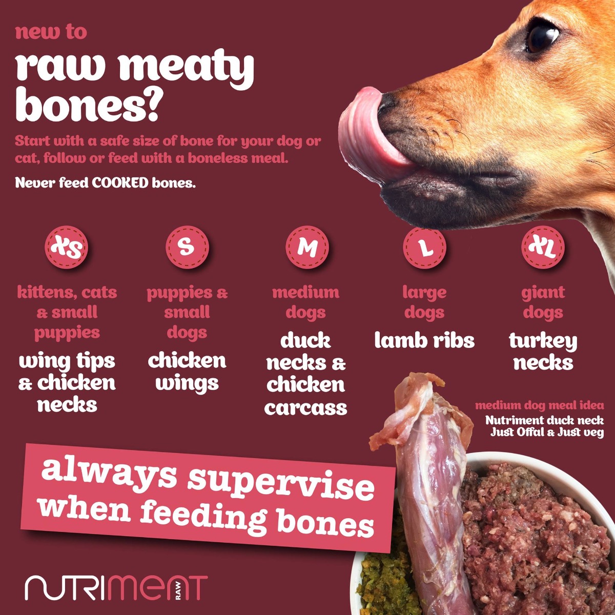 what are the best bones for dogs teeth